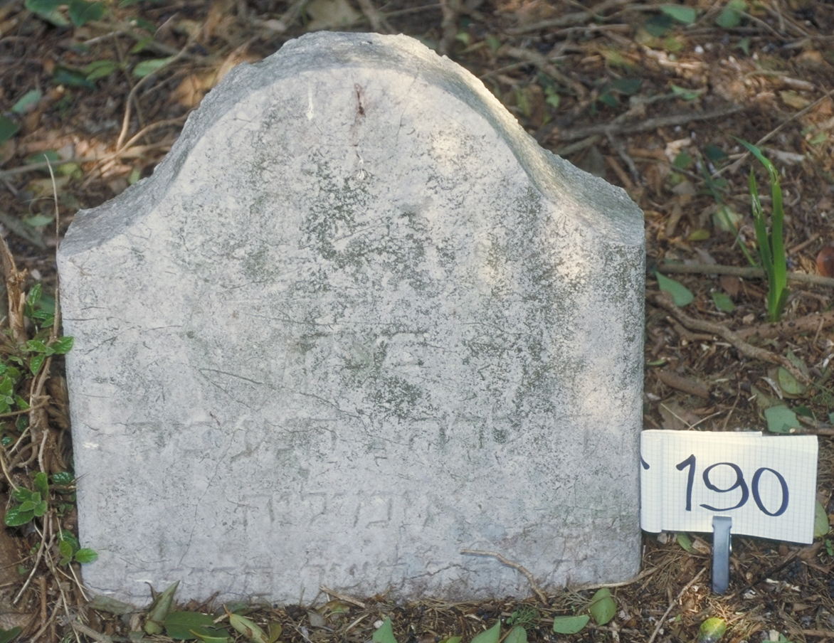 iscrizione (lapide tombale) - ambito veneto (sec. XIX)