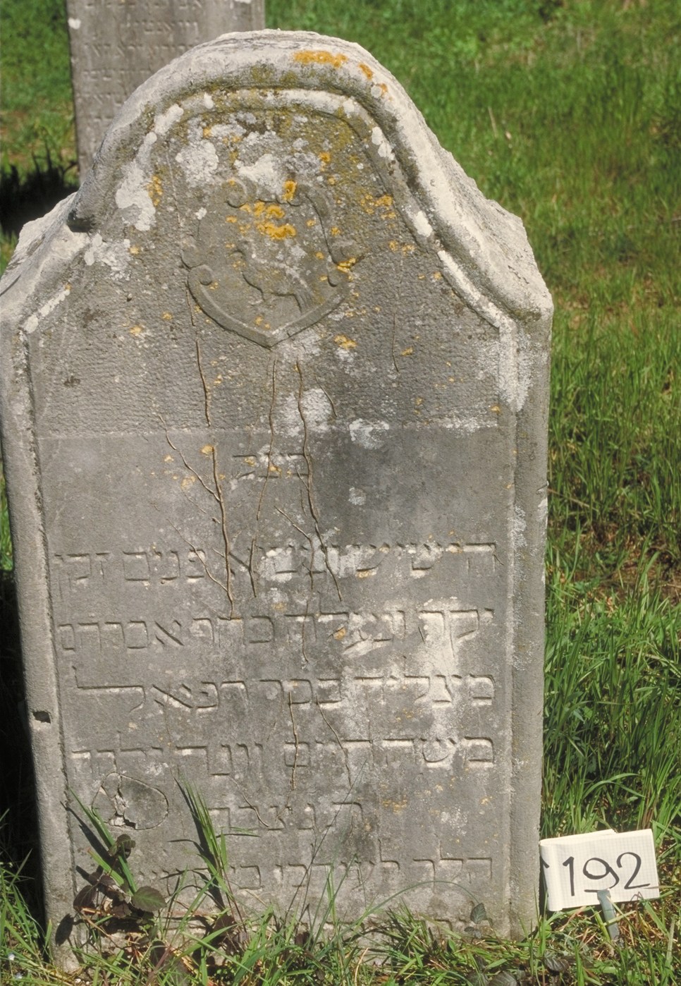 iscrizione (lapide tombale) - ambito veneto (sec. XIX)