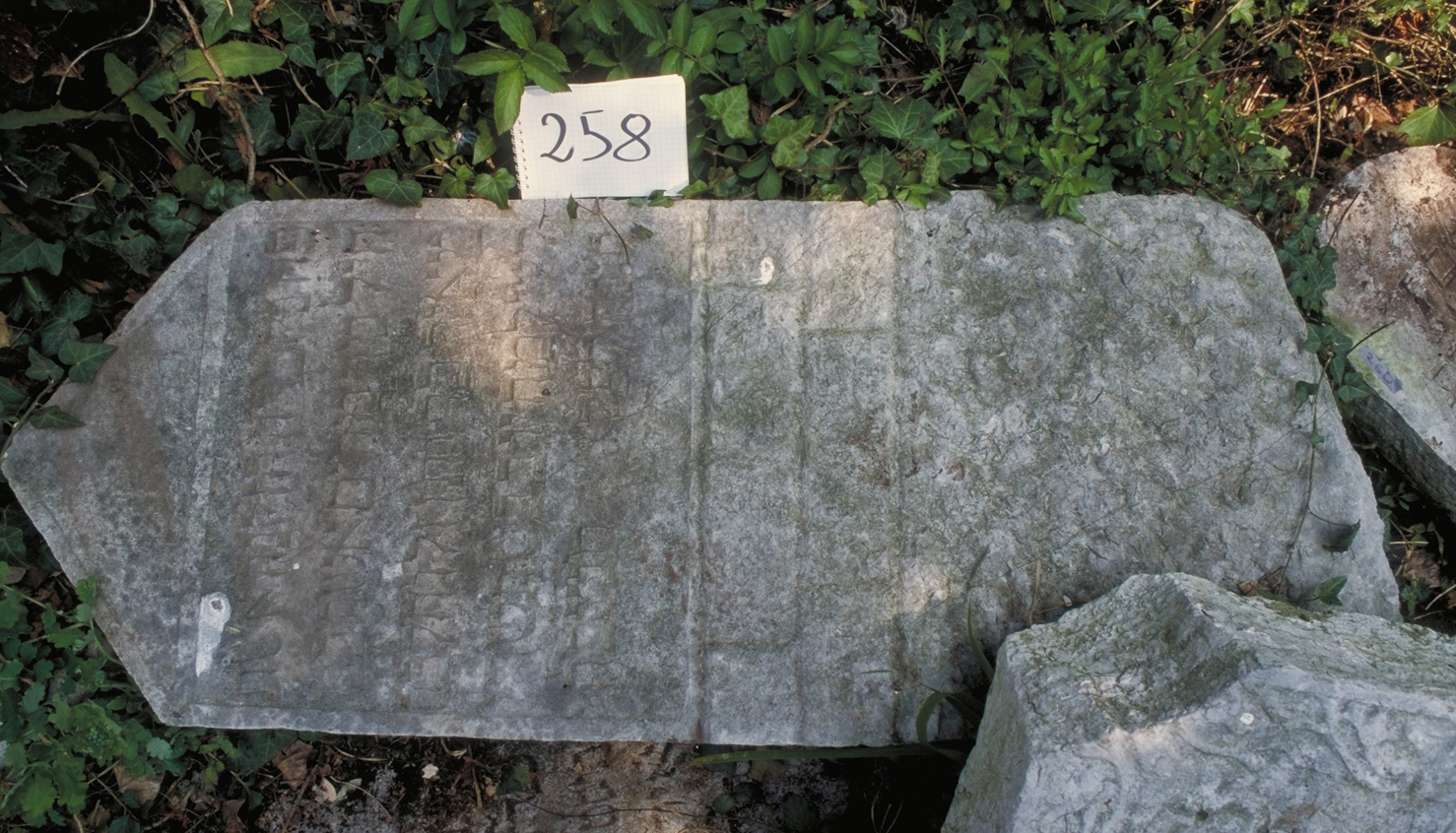 iscrizione (lapide tombale) - ambito veneto (sec. XVI)