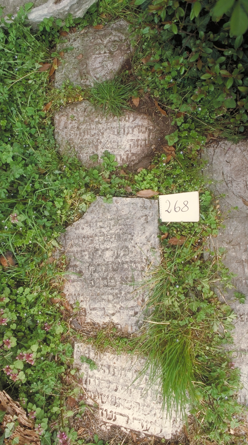 iscrizione (coperchio di sarcofago) - ambito veneto (sec. XVII)