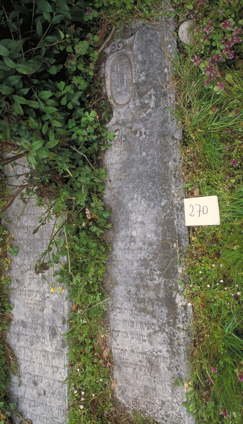 iscrizione (coperchio di sarcofago) - ambito veneto (sec. XVII)