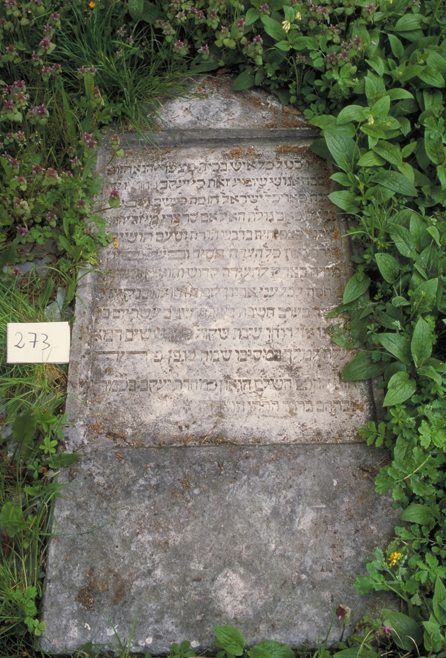 iscrizione (lapide tombale) - ambito veneto (sec. XVI)