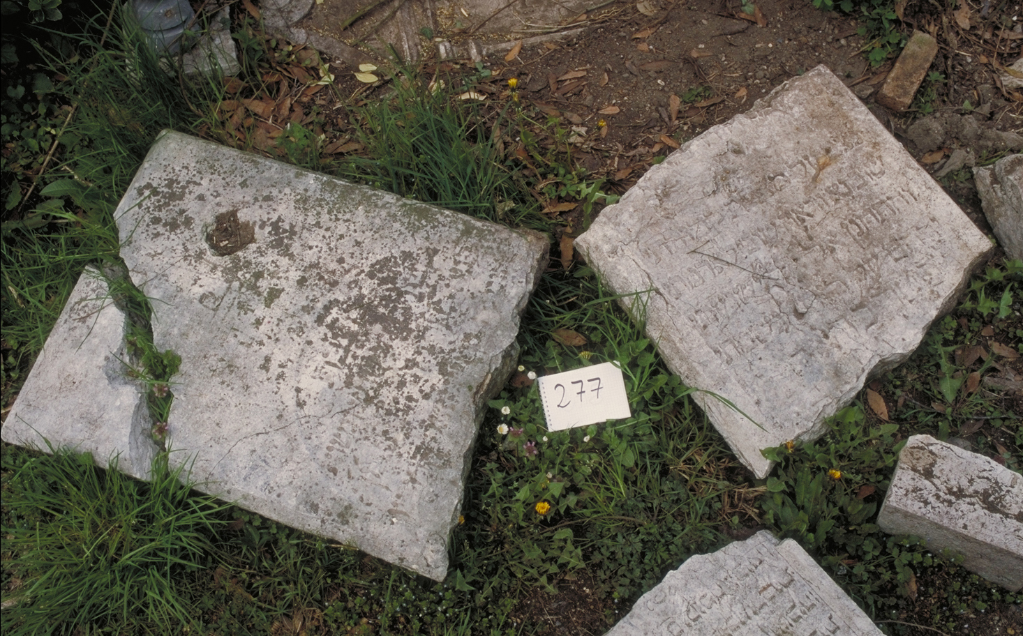 iscrizione (coperchio di sarcofago) - ambito veneto (sec. XVII)