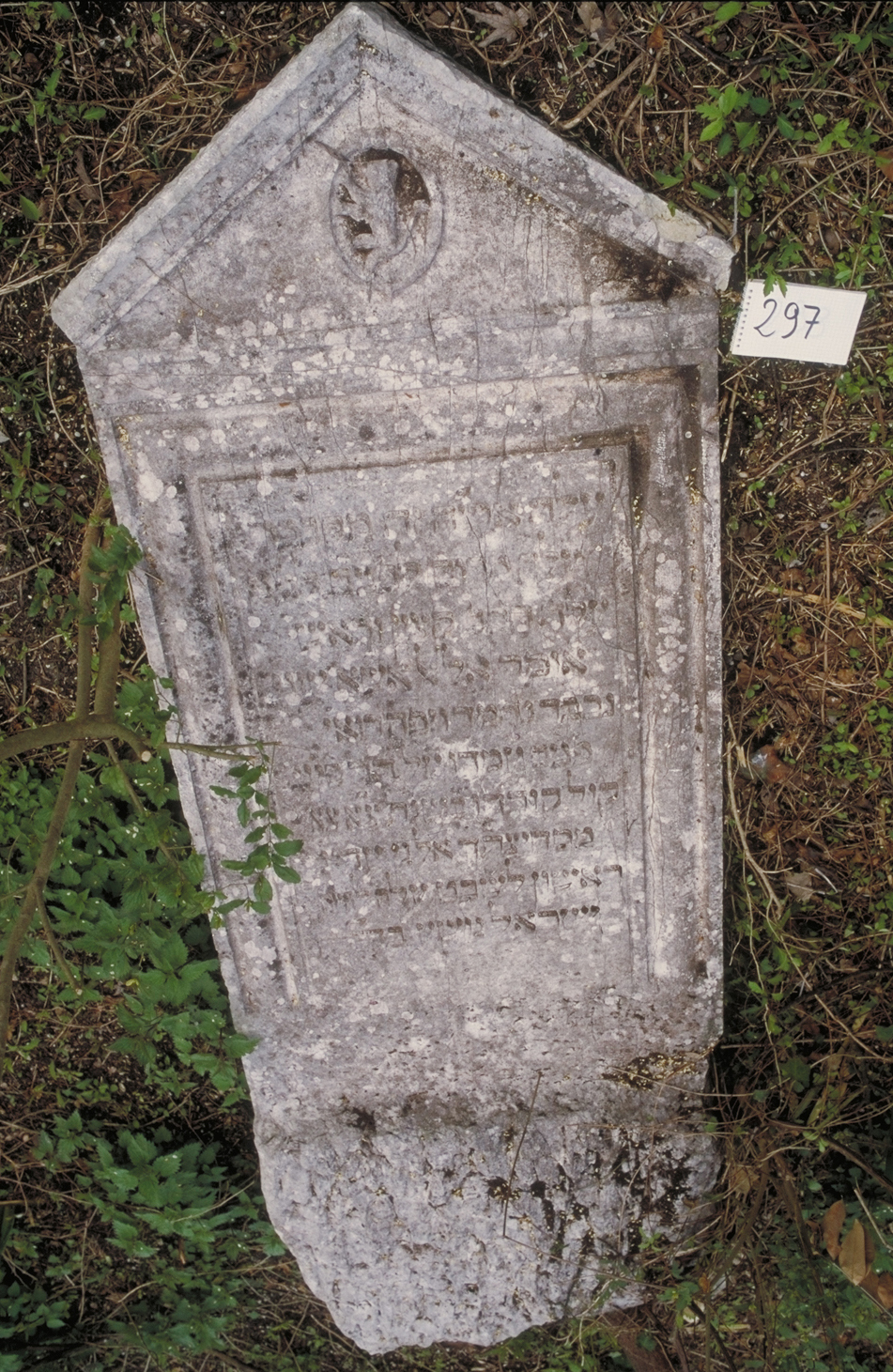 iscrizione (lapide tombale) - ambito veneto (sec. XVII)