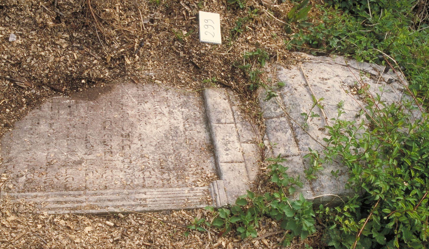 iscrizione (lapide tombale) - ambito veneto (sec. XVII)