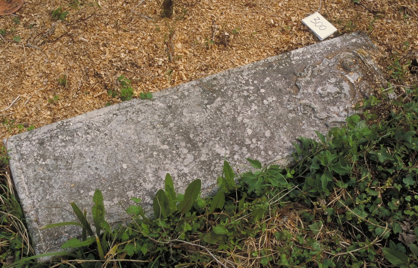 iscrizione (coperchio di sarcofago) - ambito veneto (sec. XVII)