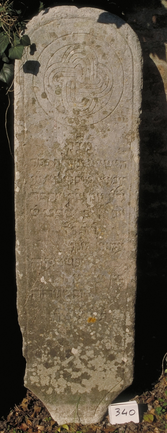 iscrizione (coperchio di sarcofago) - ambito veneto (sec. XVIII)