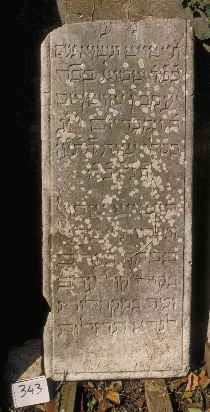 iscrizione (coperchio di sarcofago) - ambito veneto (sec. XVIII)