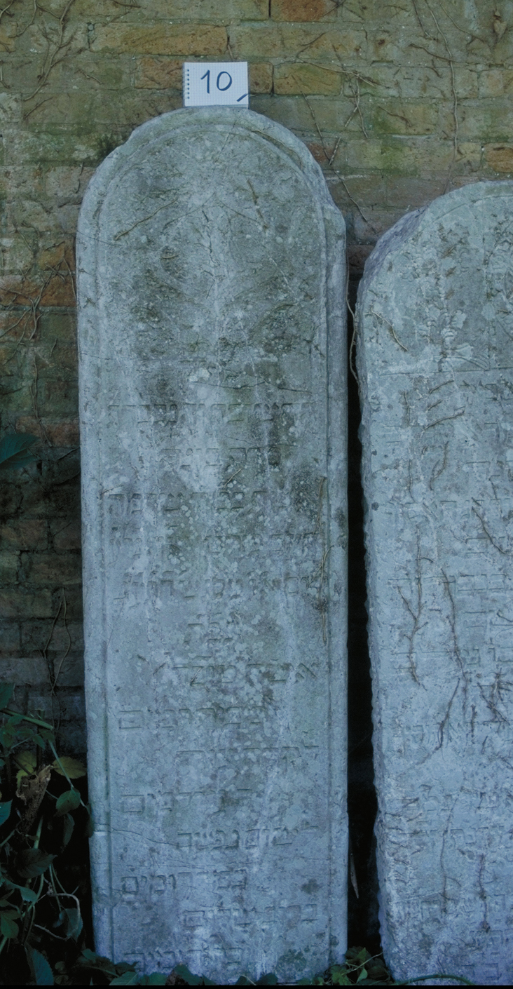 iscrizione (coperchio di sarcofago) - ambito veneto (sec. XVIII)