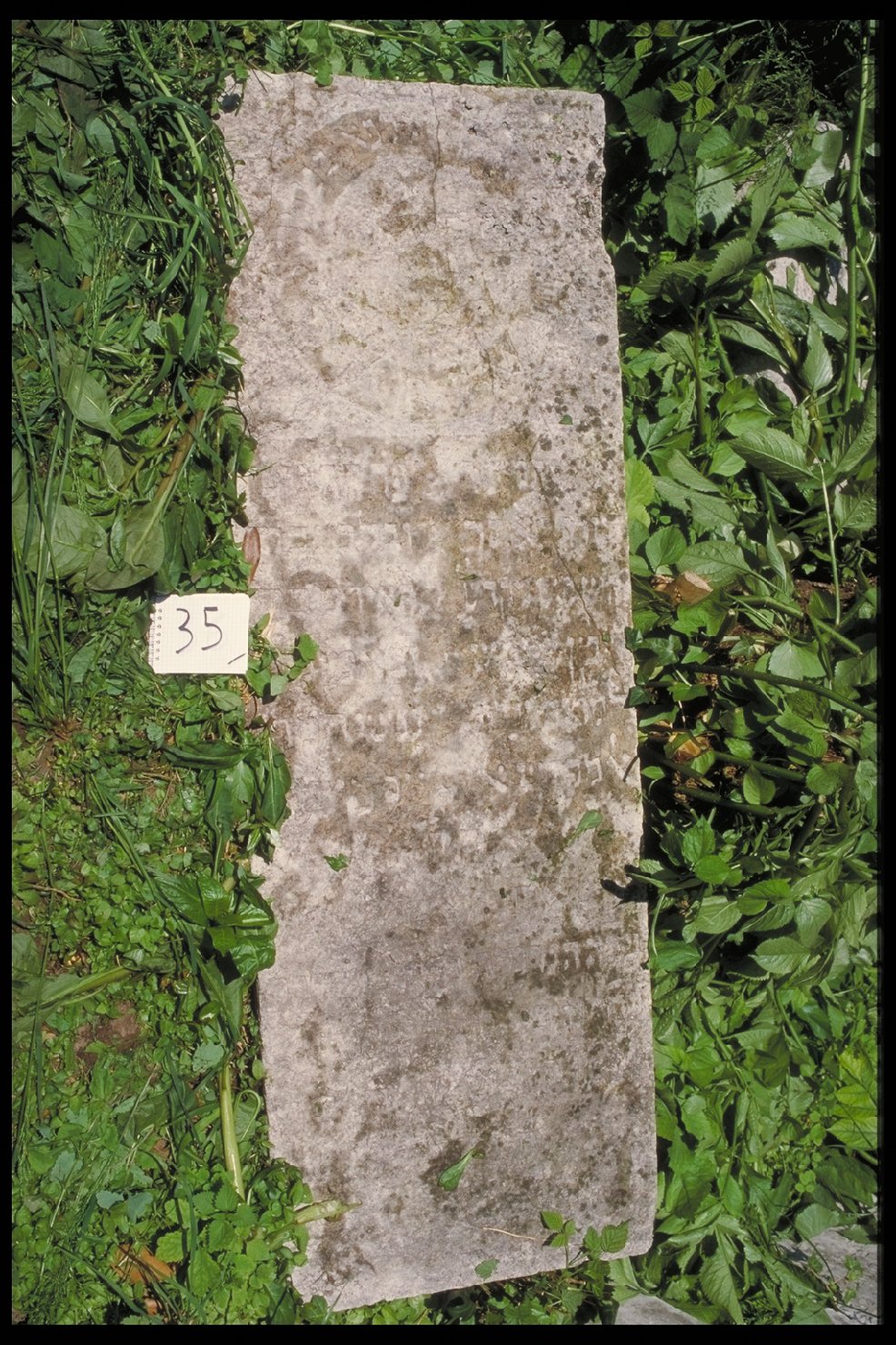 iscrizione (coperchio di sarcofago) - ambito veneto (sec. XVIII)