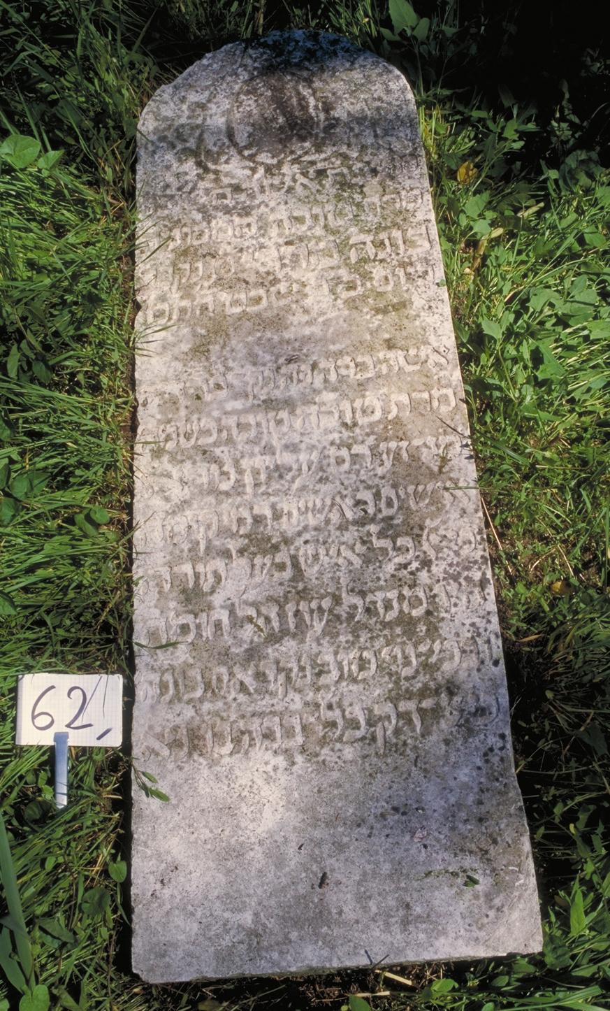 iscrizione (coperchio di sarcofago) - ambito veneto (sec. XVII)