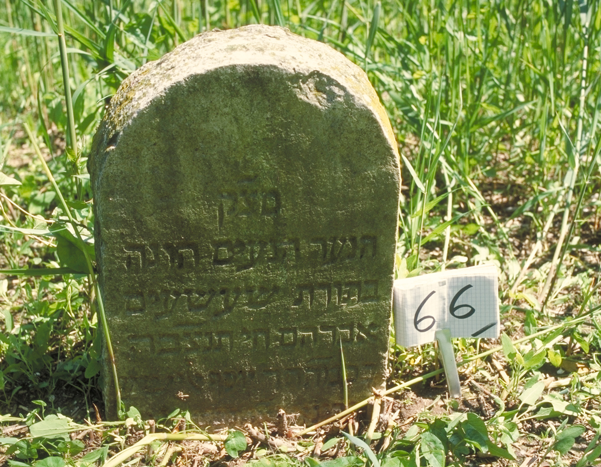 iscrizione (lapide tombale) - ambito veneto (sec. XVIII)