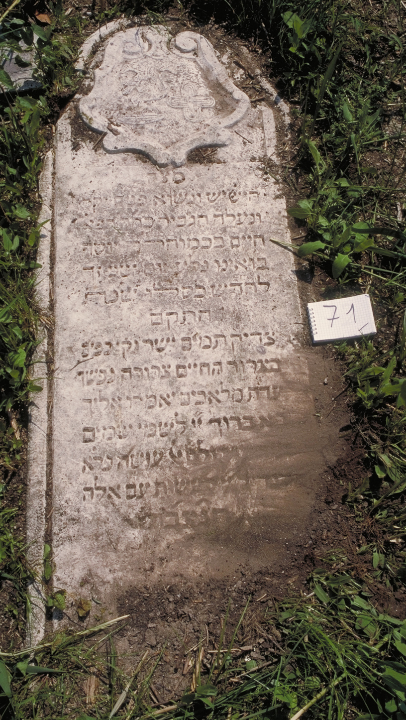 iscrizione (coperchio di sarcofago) - ambito veneto (sec. XVIII)