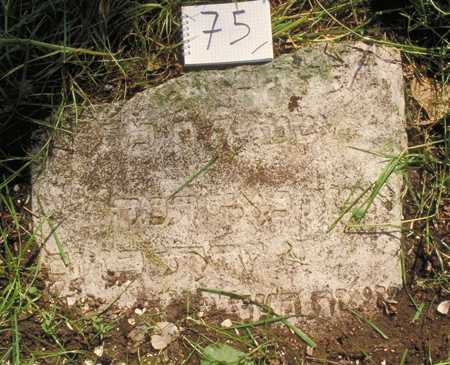 iscrizione (lapide tombale) - ambito veneto (sec. XVII)