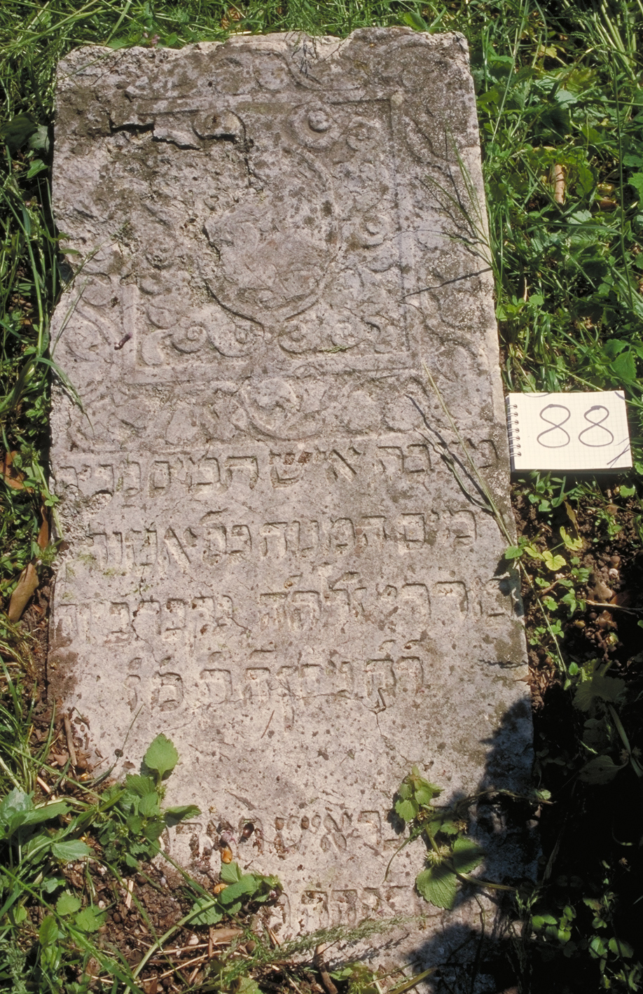 iscrizione (coperchio di sarcofago) - ambito veneto (sec. XVII)