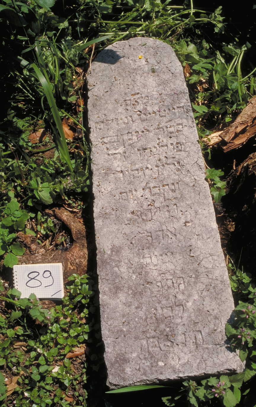 iscrizione (coperchio di sarcofago) - ambito veneto (sec. XVIII)