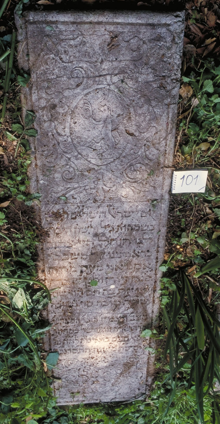 iscrizione (coperchio di sarcofago) - ambito veneto (sec. XVIII)