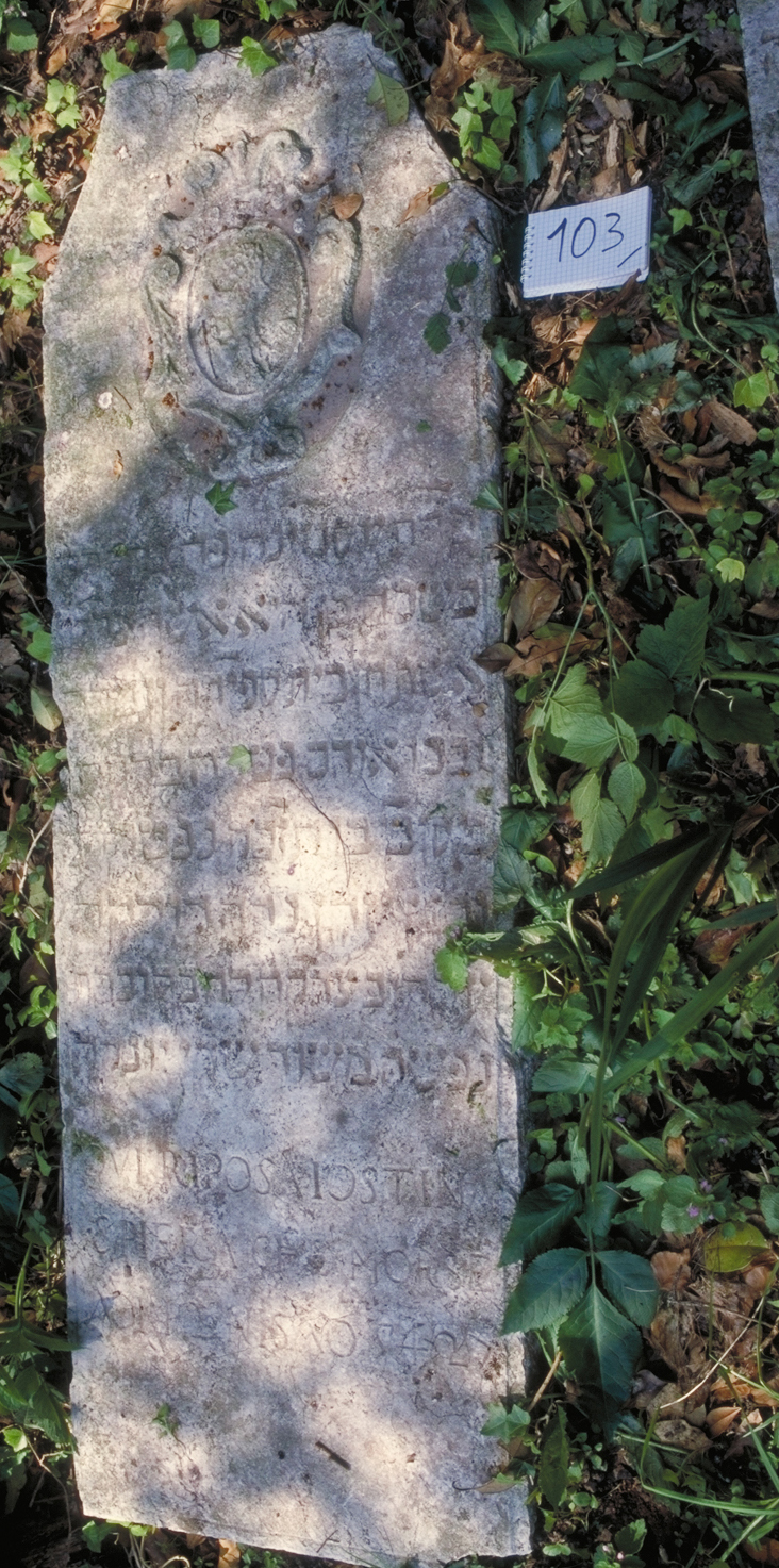 iscrizione (coperchio di sarcofago) - ambito veneto (sec. XVII)