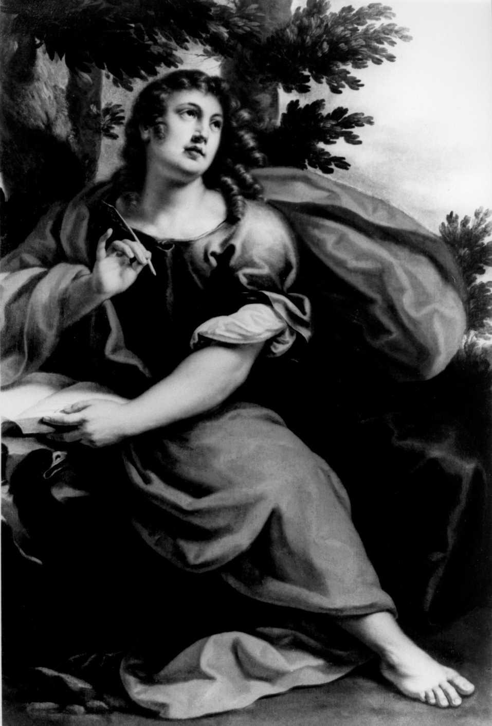 San Giovanni Evangelista (dipinto) di Triva Antonio Domenico (sec. XVII)