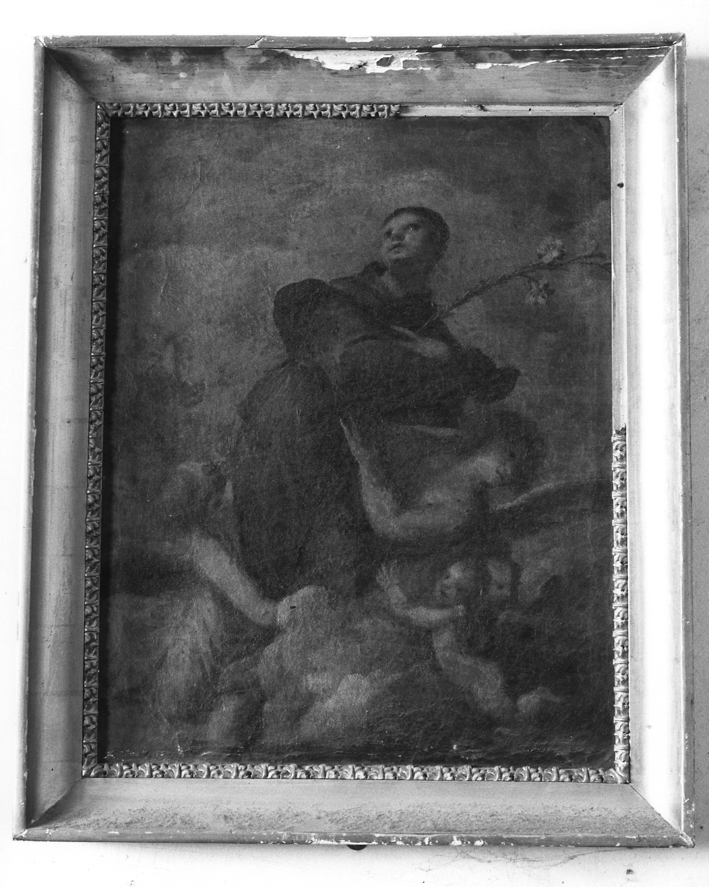 gloria di Sant'Antonio (dipinto) di Liberi Pietro (sec. XVII)