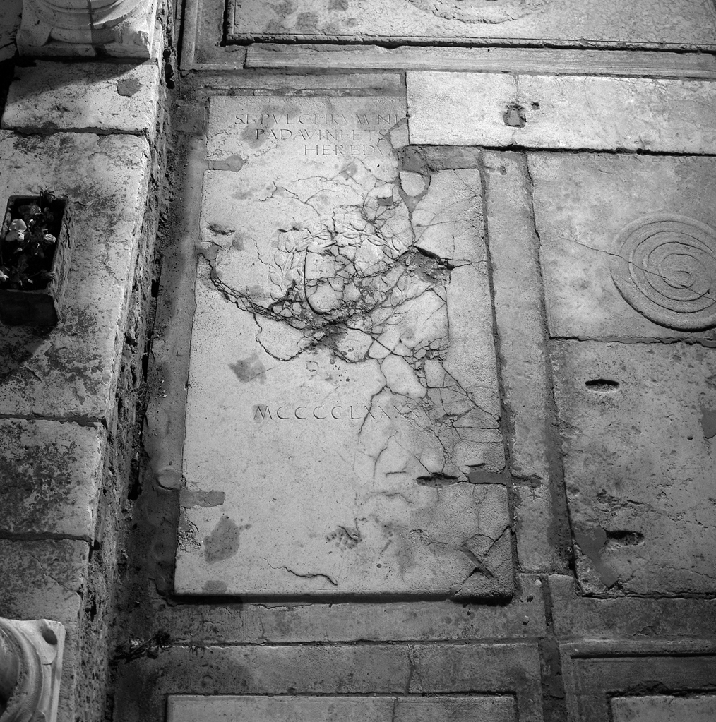 lastra tombale - ambito veneto (sec. XV)