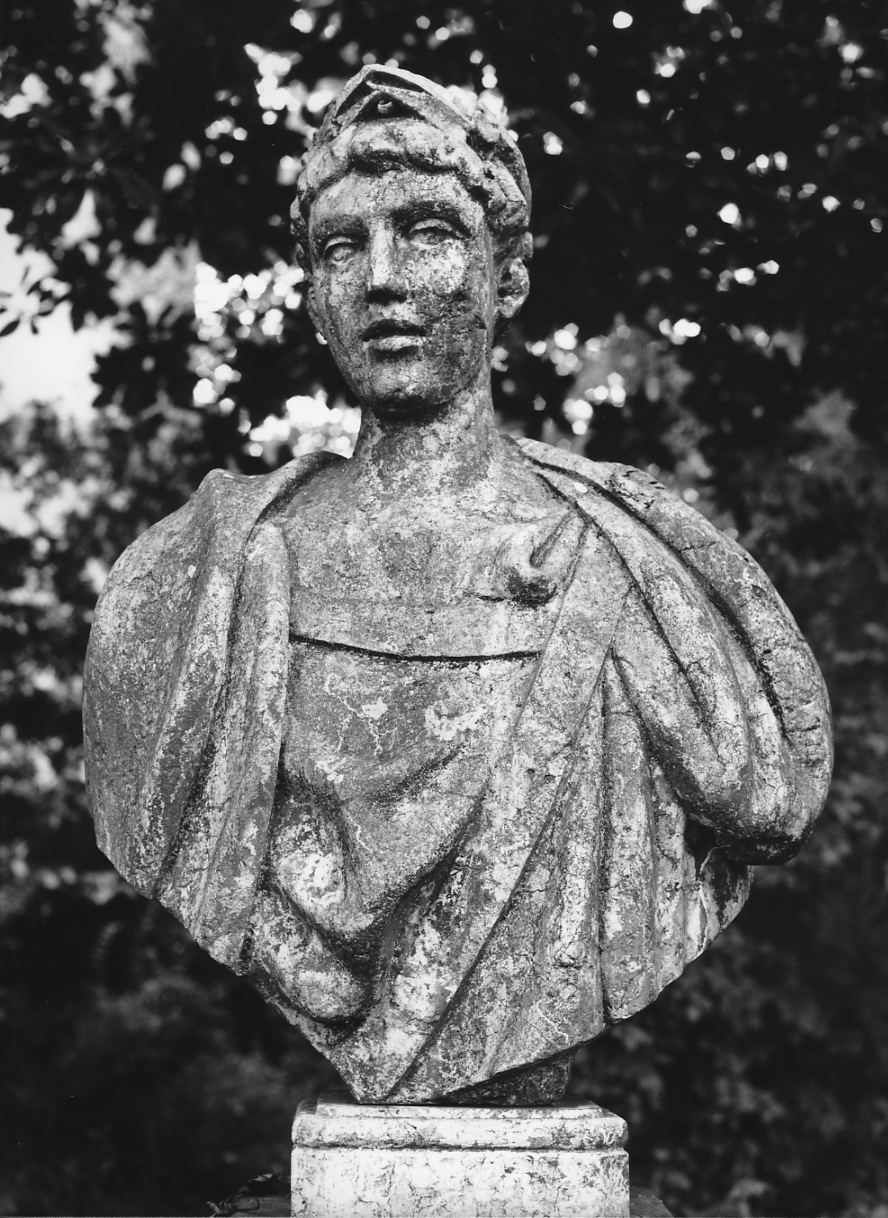 busto maschile (scultura) - ambito veneto (sec. XVIII)