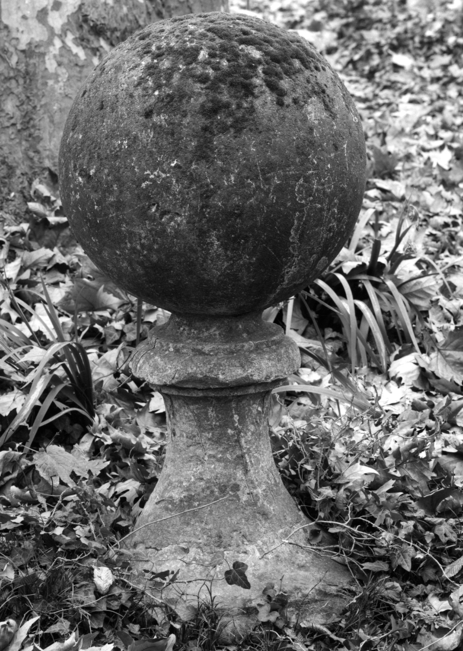 decorazione plastica, insieme - ambito veneto (sec. XVIII)