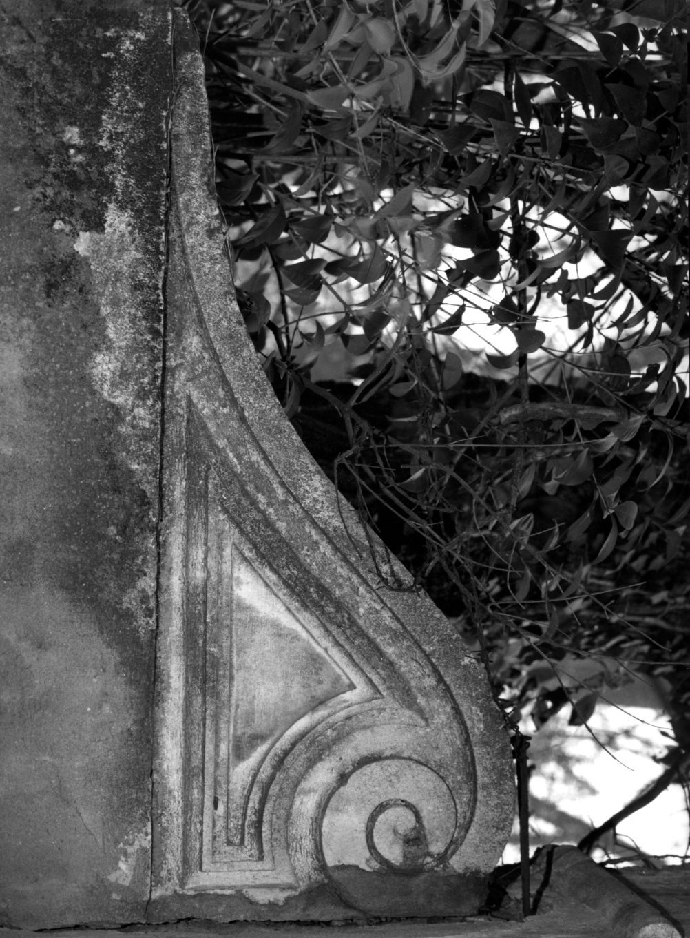 decorazione plastica - ambito veneto (sec. XVIII)