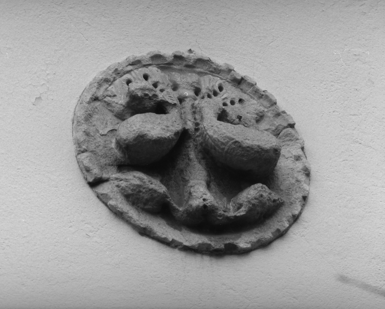 motivo decorativo zoomorfo (patera) - ambito veneto (sec. XIX)