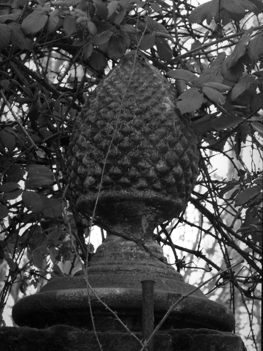 decorazione plastica - ambito veneto (sec. XVIII)