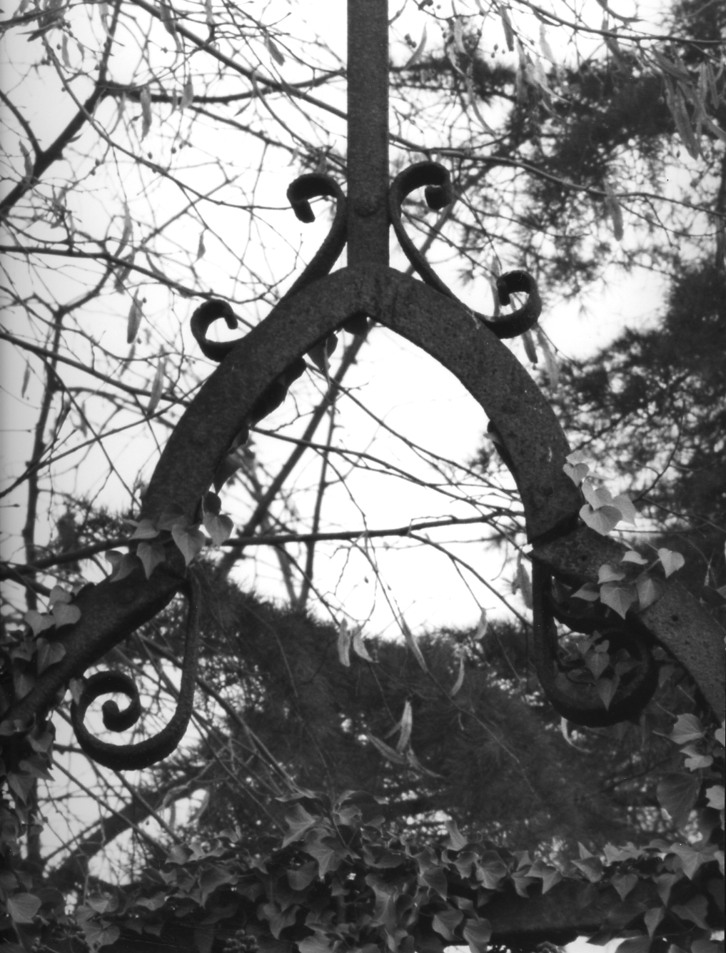 scultura, elemento d'insieme - ambito veneto (sec. XVIII)