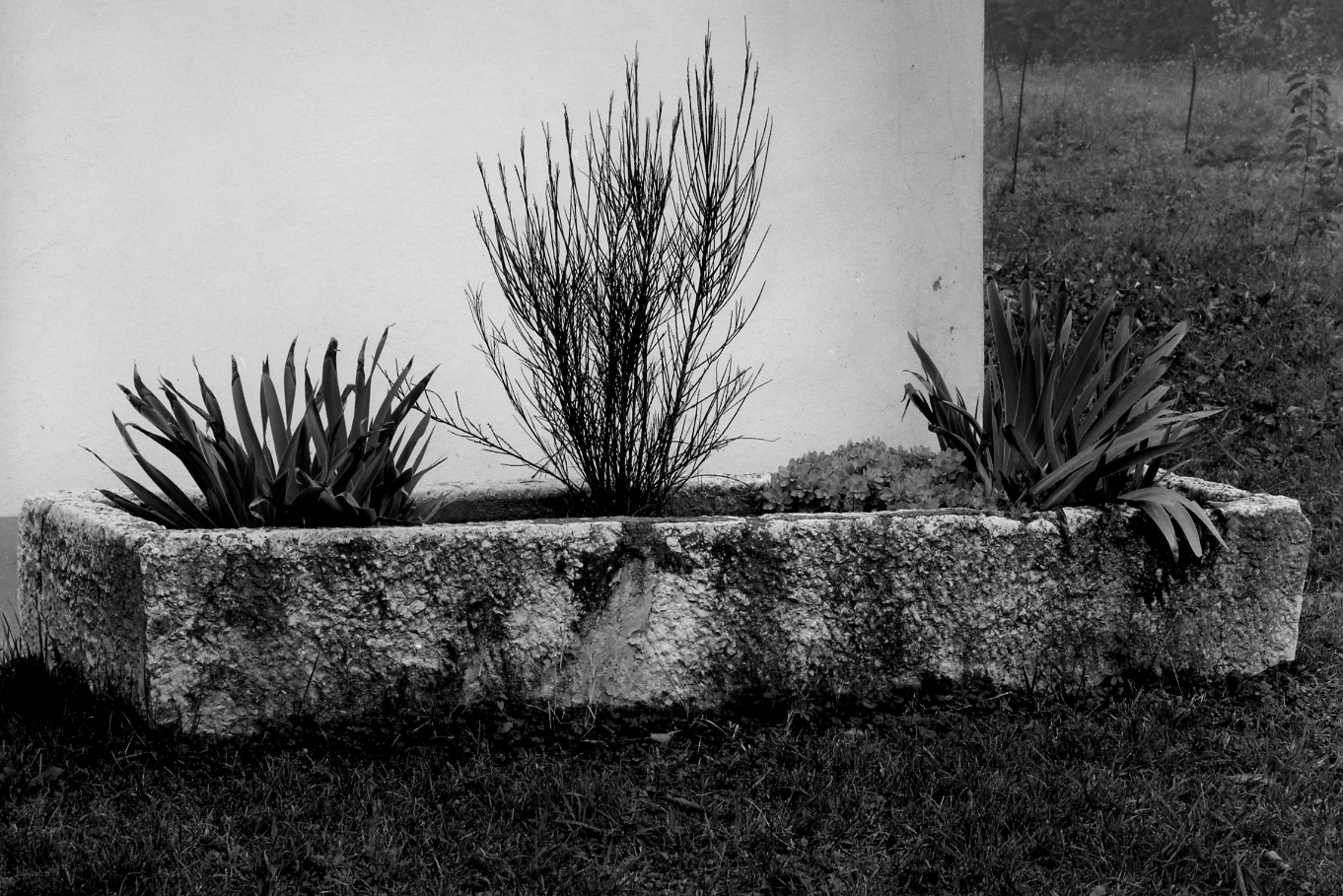 vasca - ambito veneto (sec. XVIII)