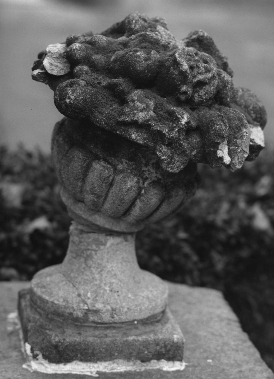 vaso - ambito veneto (sec. XVIII)