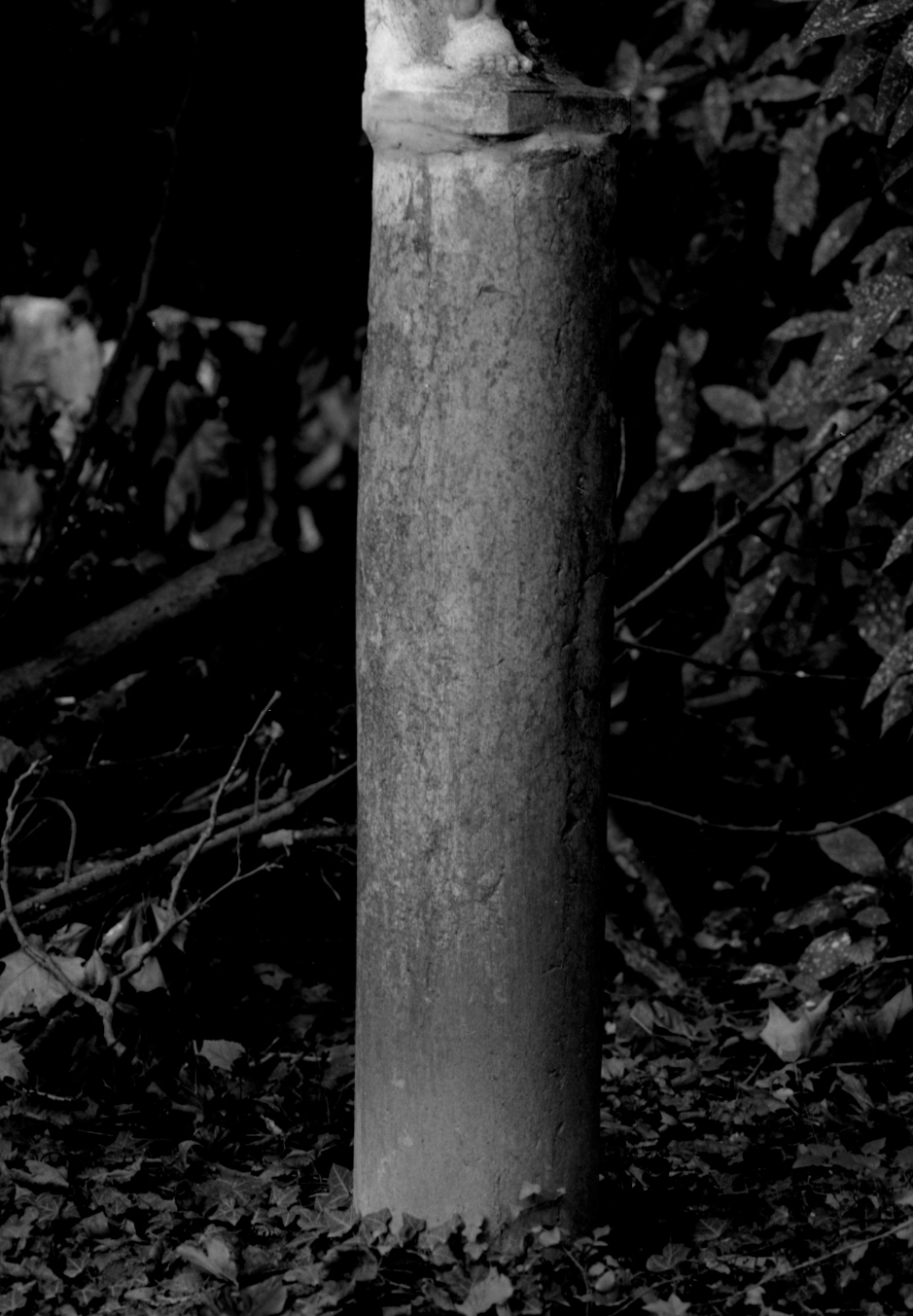 fusto di colonna - ambito veneto (sec. XVIII)