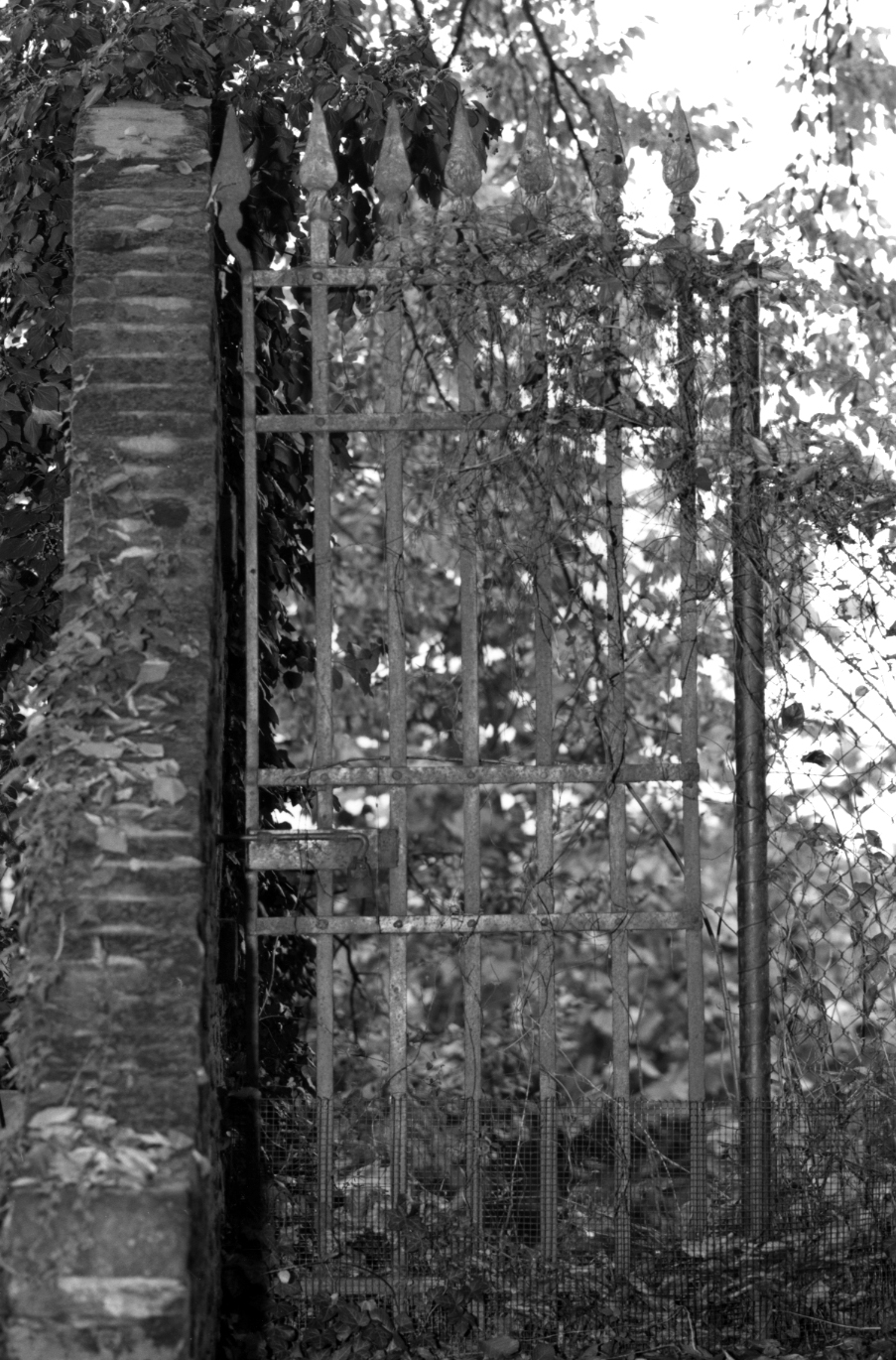 cancello - ambito veneto (sec. XIX)