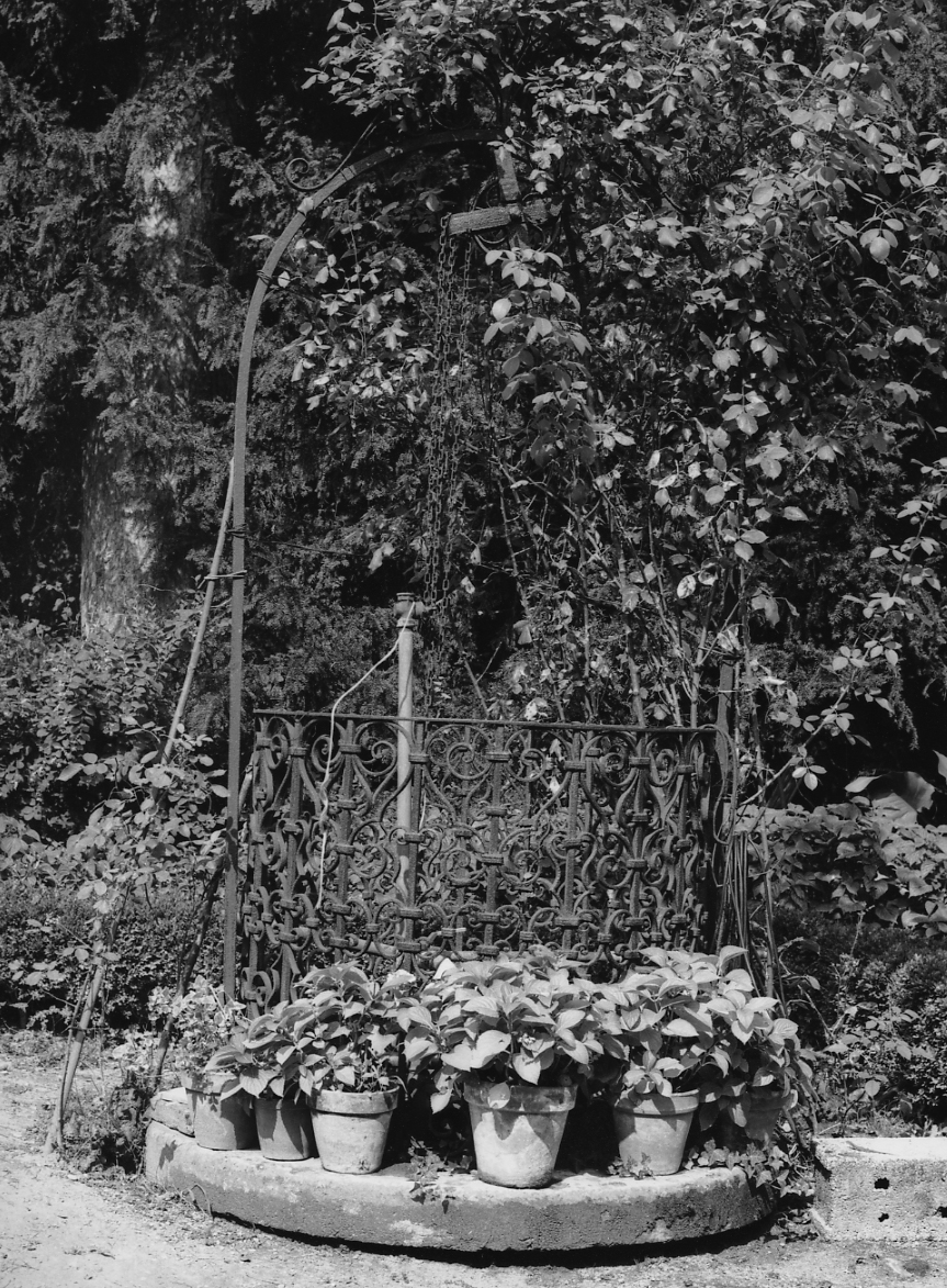 pozzo - bottega veneta (sec. XIX)