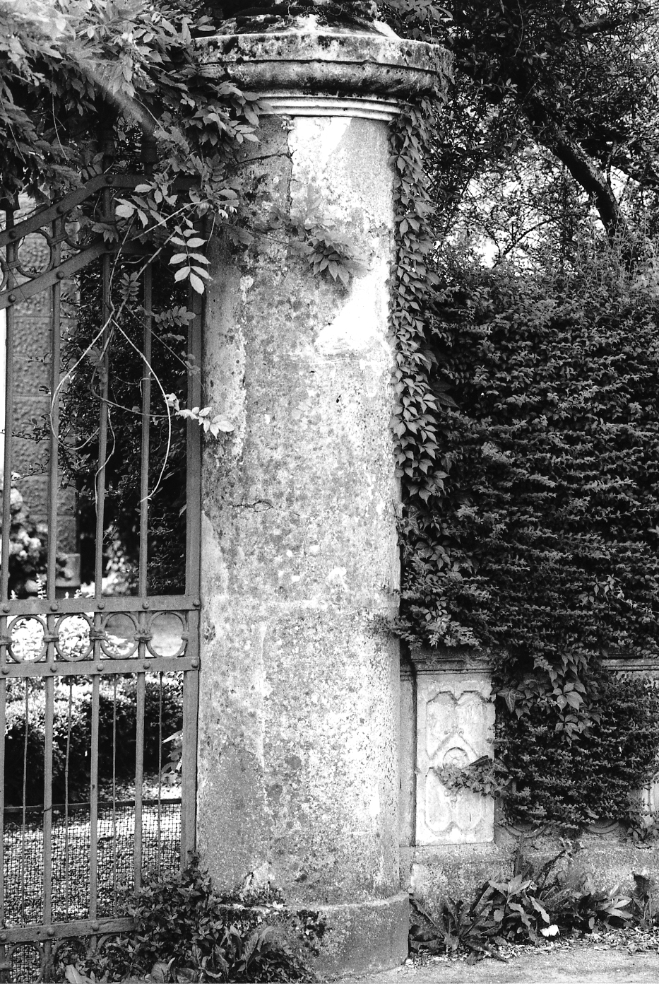 pilastro - bottega veneta (sec. XIX)