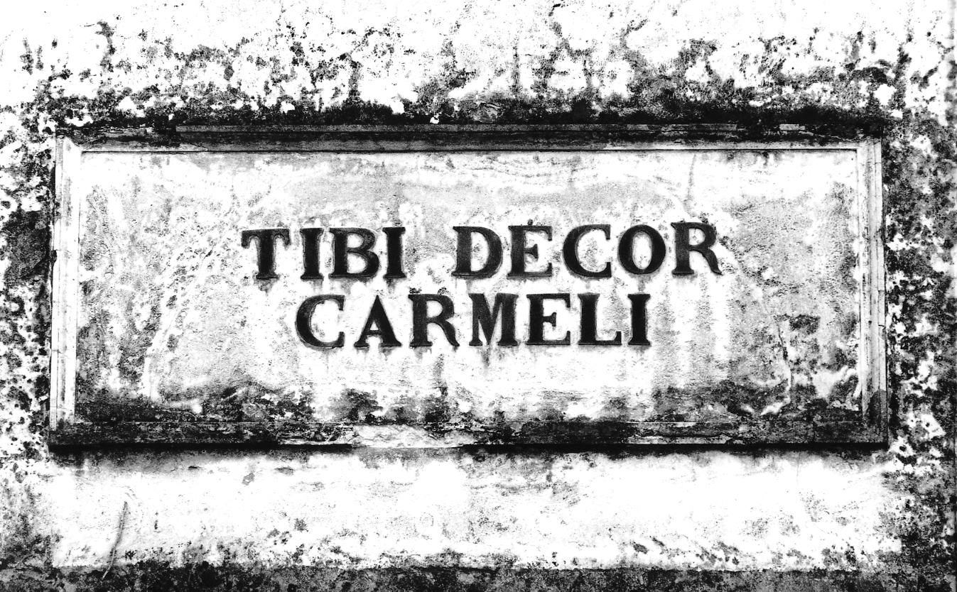 lapide - ambito veneto (sec. XIX)