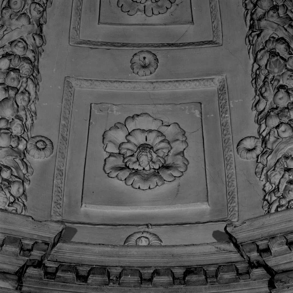 motivi decorativi vegetali (decorazione plastica, elemento d'insieme) - ambito veneto (sec. XVI)