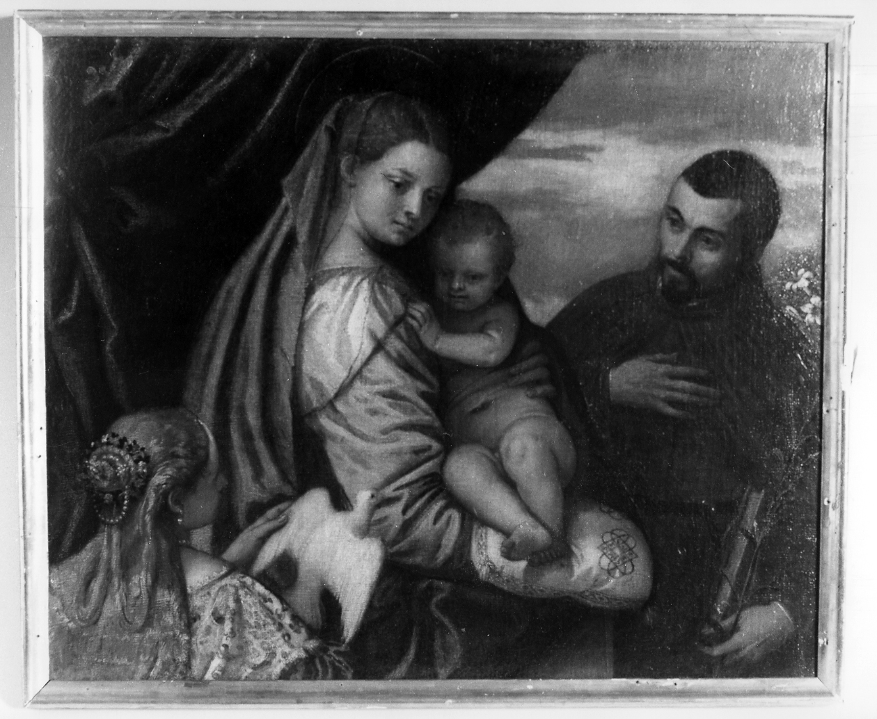 Madonna con Bambino, S. Caterina e frate Spaventi (pala d'altare) di Caliari Paolo detto Veronese (sec. XVI)