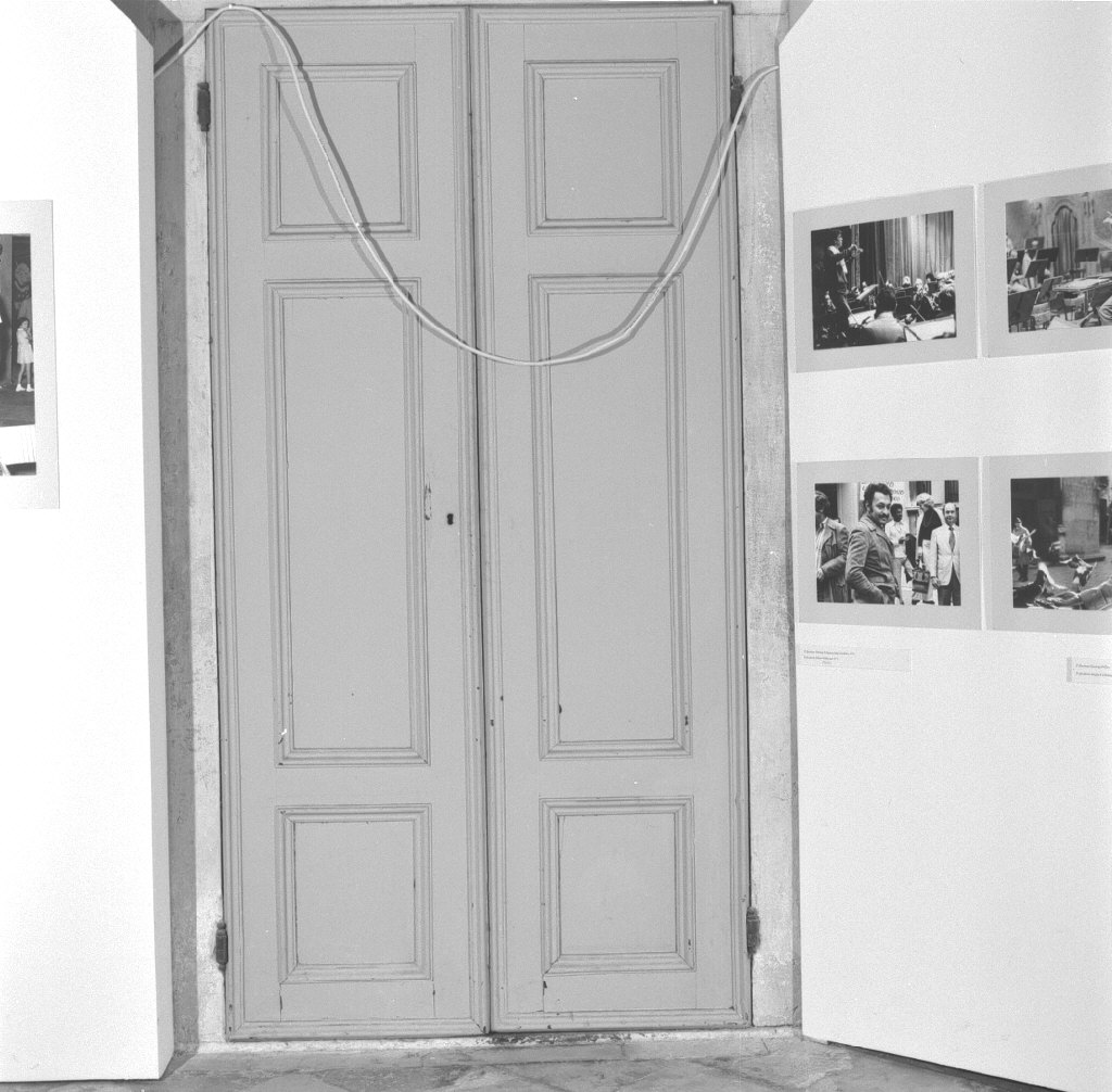 porta - a due battenti, serie - bottega veneta (seconda metà sec. XVIII)