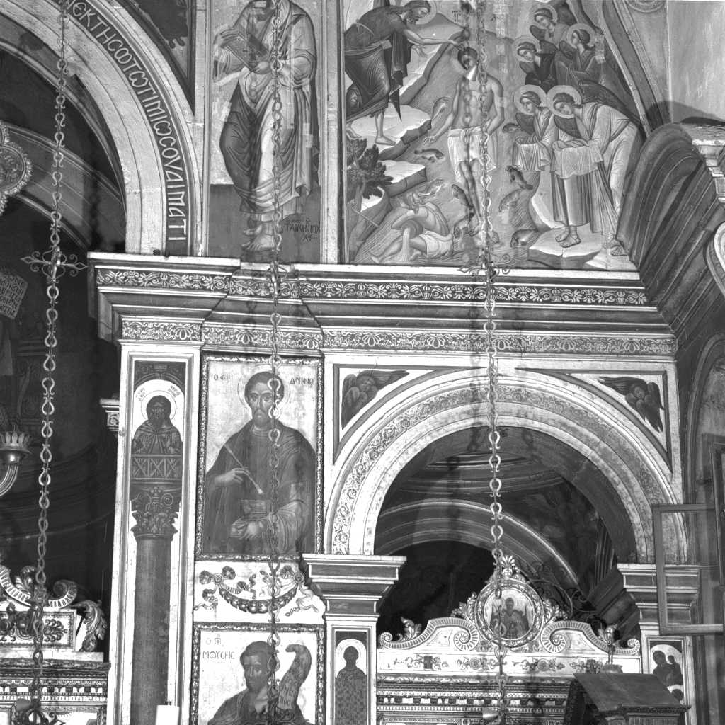 motivi decorativi vegetali (decorazione pittorica) - ambito veneto (sec. XIX)