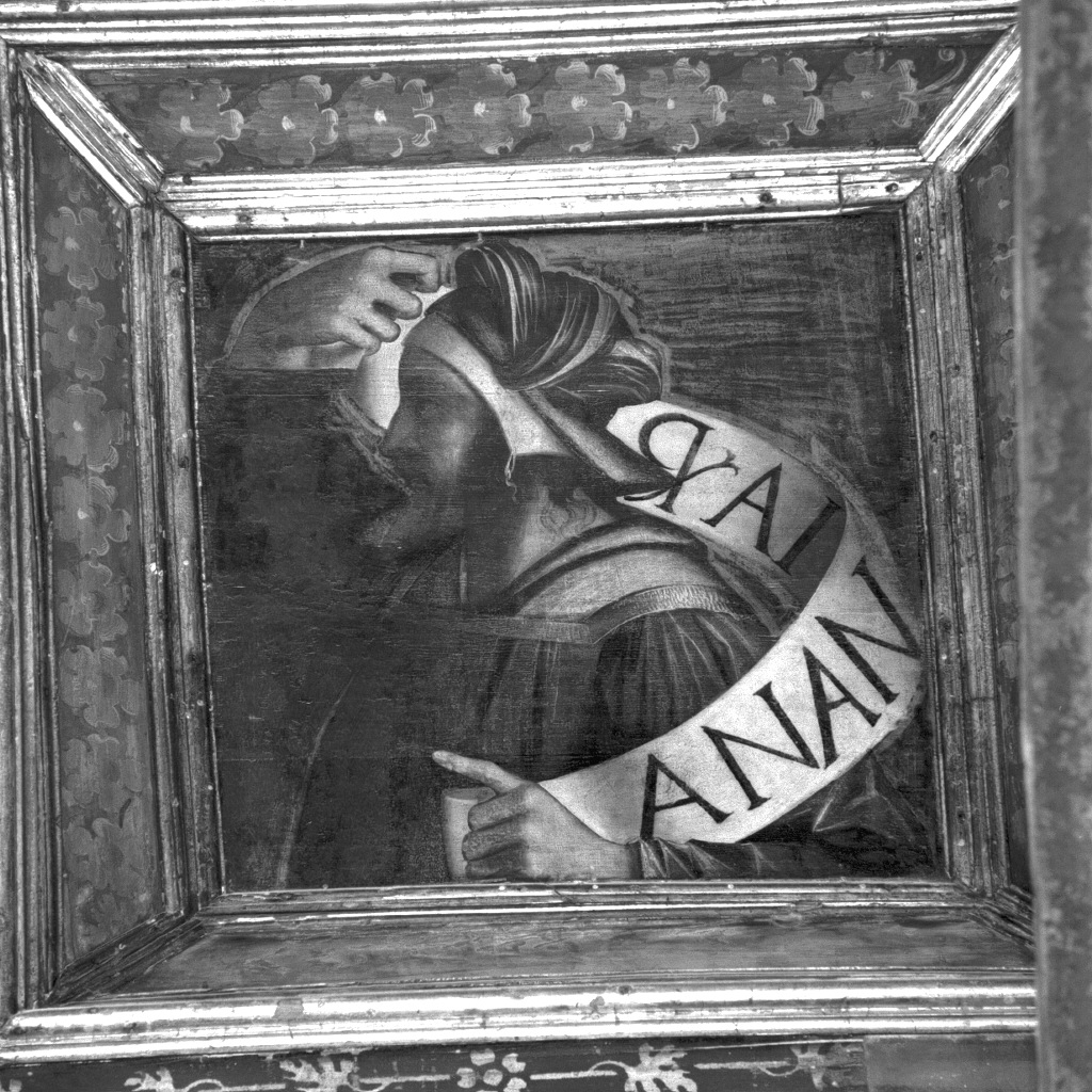 Anania (dipinto, elemento d'insieme) di Pennacchi Pier Maria, Capriolo Domenico di Bernardino (secc. XV/ XVI)