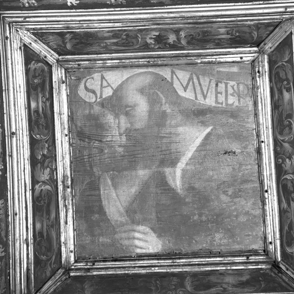San Samuele (dipinto, elemento d'insieme) di Pennacchi Pier Maria, Capriolo Domenico di Bernardino (secc. XV/ XVI)