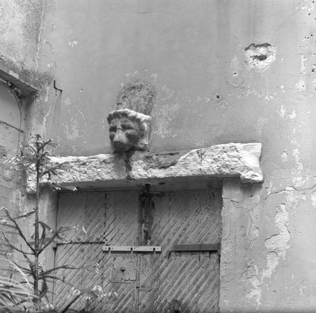 cornice architettonica - ambito veneto (sec. XVIII)