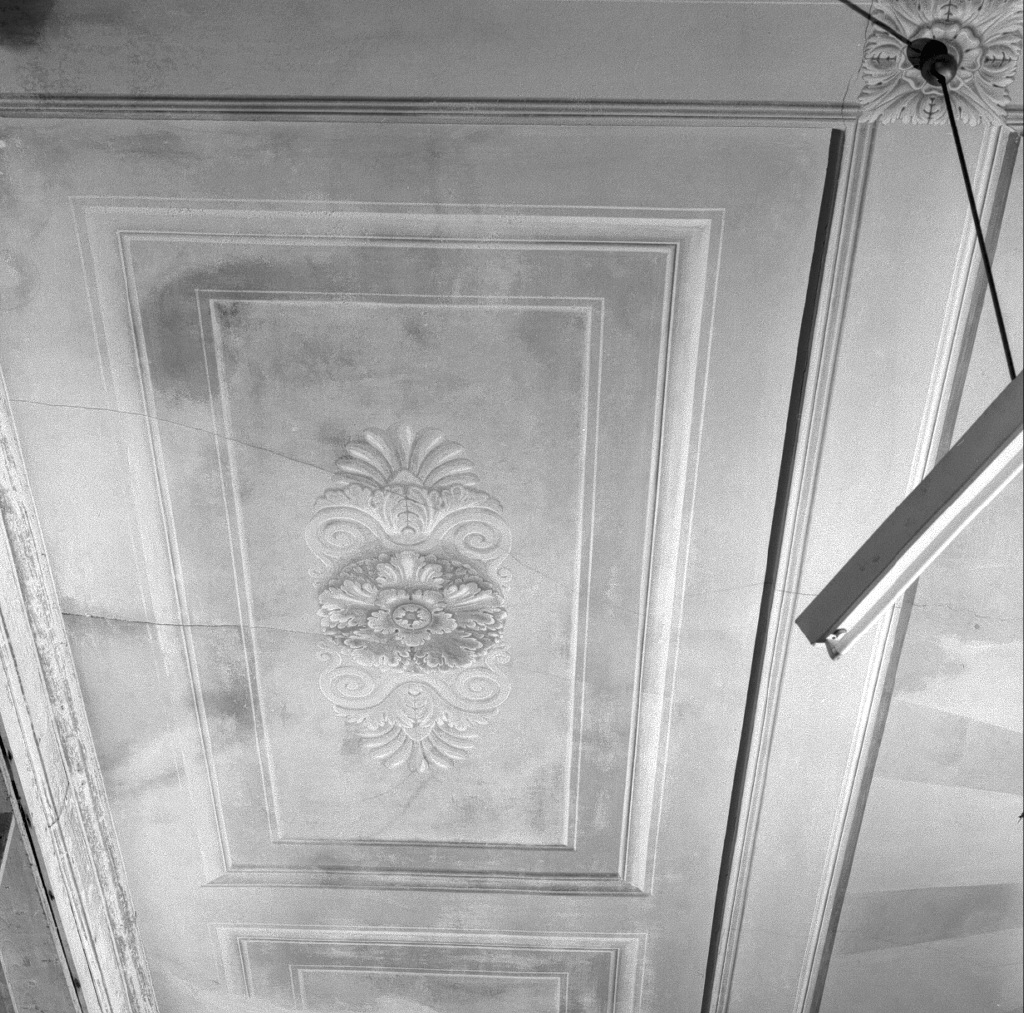 ghirlanda/ rosoni (dipinto) - ambito veneto (ultimo quarto sec. XIX)