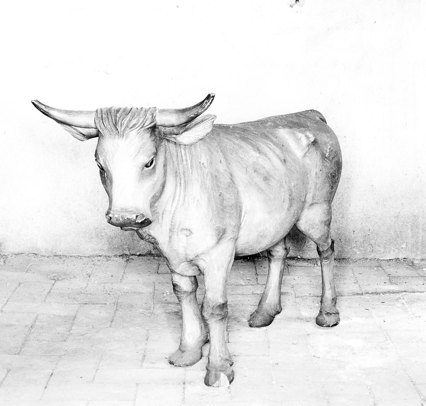 bue (statua) - bottega veneta (ultimo quarto sec. XIX)