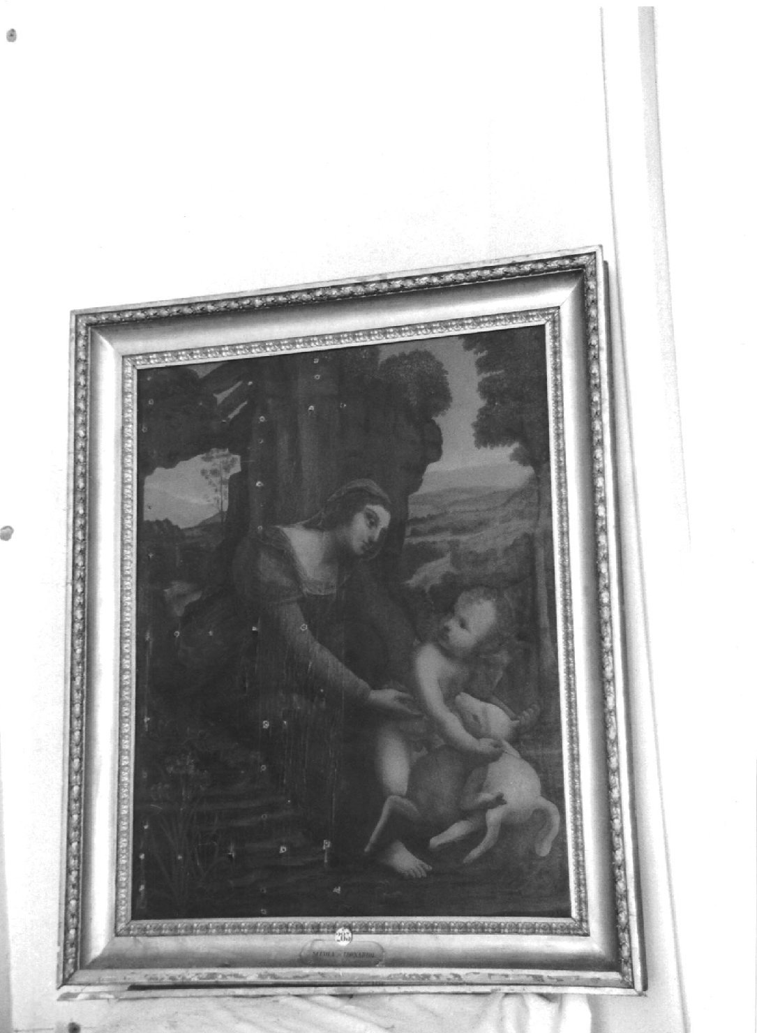 Madonna con Bambino che gioca con l'agnello (dipinto, opera isolata) di Leonardo da Vinci (scuola) (seconda metà sec. XVI)