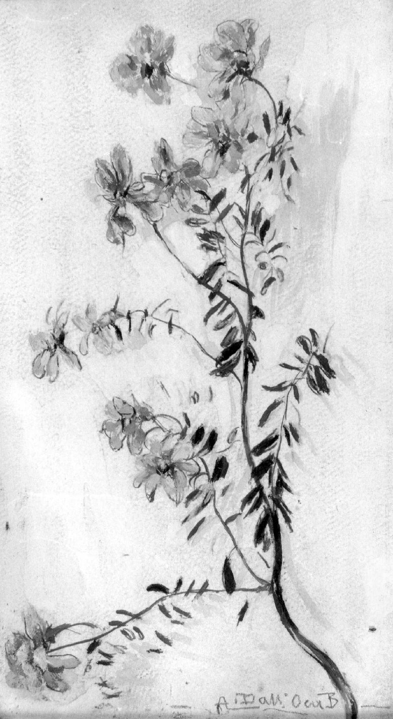 Fiori (dipinto) di Dall'Oca Bianca Angelo (sec. XX)