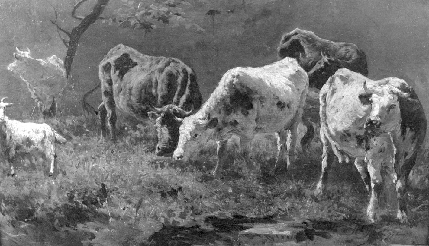 Animali al pascolo, animali (dipinto) di Palizzi Giuseppe (sec. XIX)